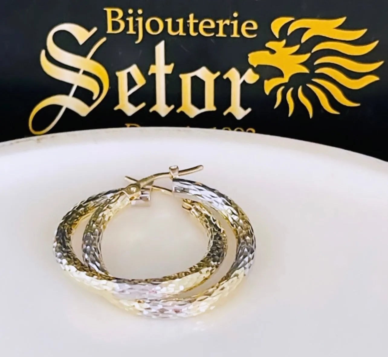 Sybelle earrings E329
